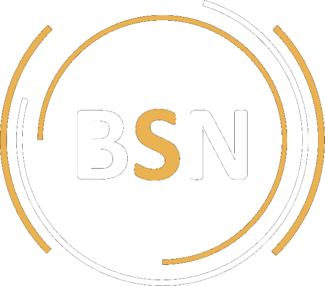 BSNSOFT